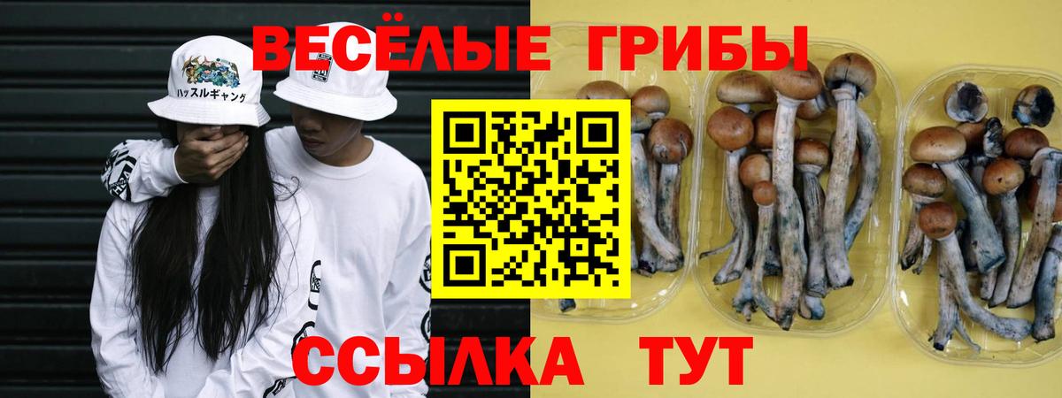 Галлюциногенные грибы мухоморы  Вход с VPN  Галлюциногенные грибы прущие грибы  купить наркоту  Шелехов 